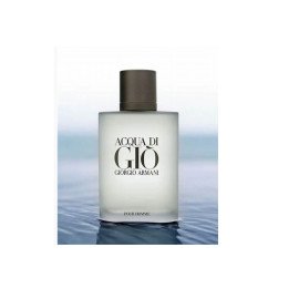 Perfume Giorgio Armani Acqua Di Gio Masculino 100 ml