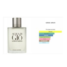 Perfume Giorgio Armani Acqua Di Gio Masculino 100 ml