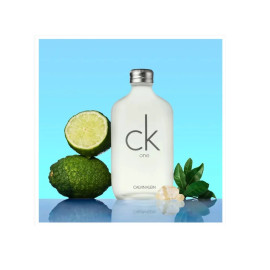 Perfume Calvin Klein Ck One Unissex 100ml